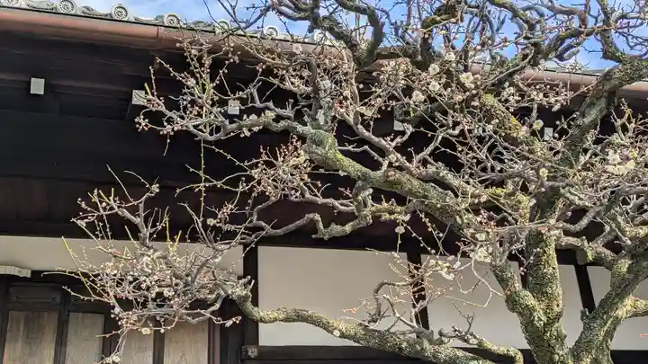 弘誓寺(京都府)