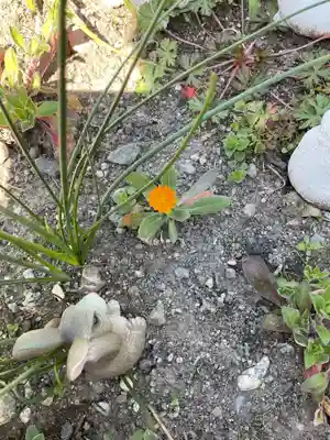 三輪神社(愛知県)