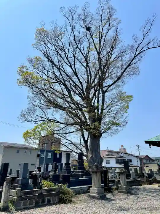 久福寺(福島県)
