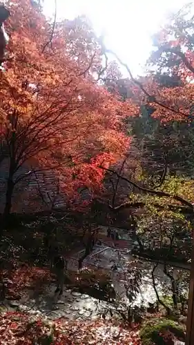 室生寺の庭園