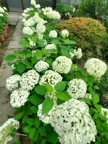 豊景神社(福島県)