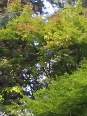 鹿島大神宮(福島県)