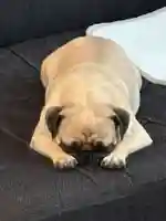 本昌寺(大阪府)