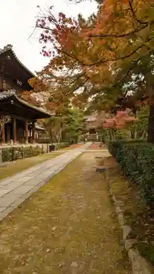 建仁寺（建仁禅寺）(京都府)