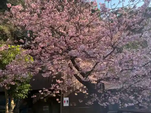 龍口寺の{uncategorized: "未分類", other: "その他", undefined: "問題あり", building: "その他建物", grave: "お墓", sacred_gate: "鳥居", guardian: "狛犬", statue: "像", buddha: "仏像", history: "歴史", nature: "自然", garden: "庭園", animal: "動物", pagoda: "塔", temizu: "手水舎", mountain_gate: "山門・神門", sanctuary: "本殿・本堂", subordinate: "末社・摂社", art: "芸術", scenery: "景色", jizo: "地蔵", ema: "絵馬", goshuin: "御朱印", omikuji: "おみくじ", items: "授与品その他", amulet: "お守り", goshuincho: "御朱印帳", eats: "食事", festival: "お祭り", votive_dance: "神楽", shichigosan: "七五三参", wedding: "結婚式", experience: "体験その他", initially: "初詣", around: "周辺", anti_infection: "感染症対策"}