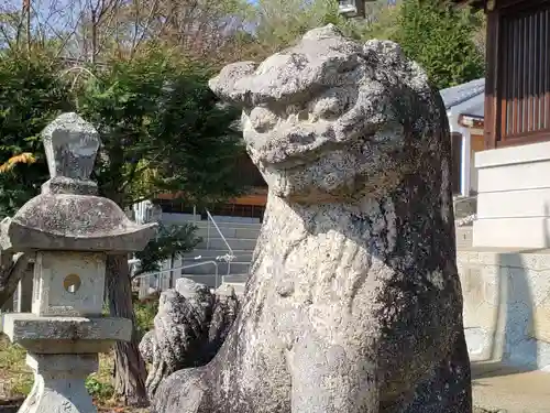 厄除八幡宮　の狛犬