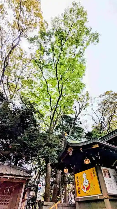 検見川神社の自然