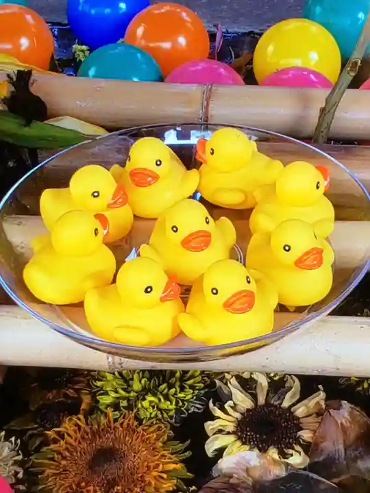 下谷神社(東京都)