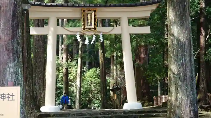 飛瀧神社(熊野那智大社別宮)の鳥居