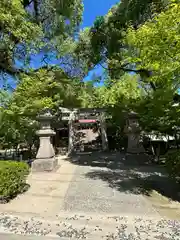 鹿児島神社(鹿児島県)