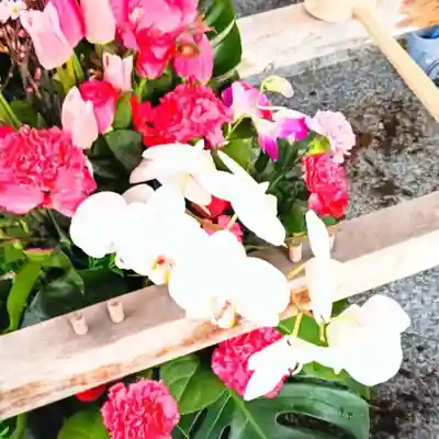 彌彦神社　(伊夜日子神社)の手水舎