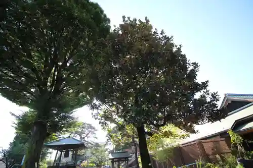 光明院(東京都)