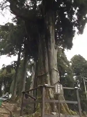 身延山奥之院思親閣(山梨県)