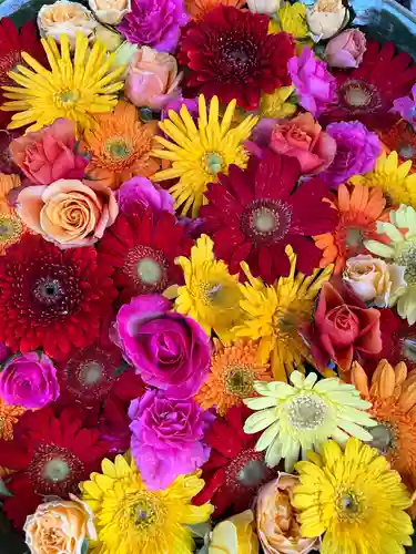 彌都加伎神社の手水舎