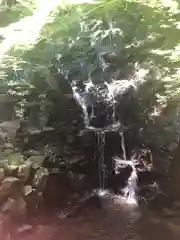 猿田彦三河神社の自然