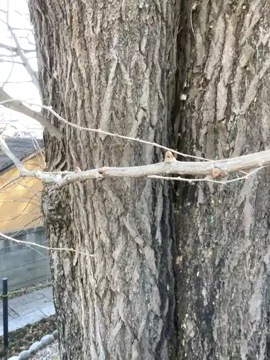 堤治神社の自然
