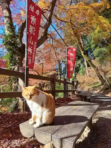 唐澤山神社(栃木県)