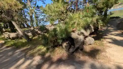 天橋立神社(京都府)