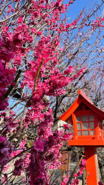 朝日森天満宮の自然