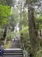 箱根神社のその他建物