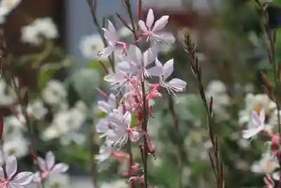 豊景神社の庭園