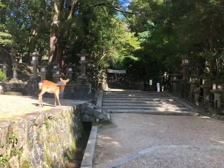 春日大社のその他建物