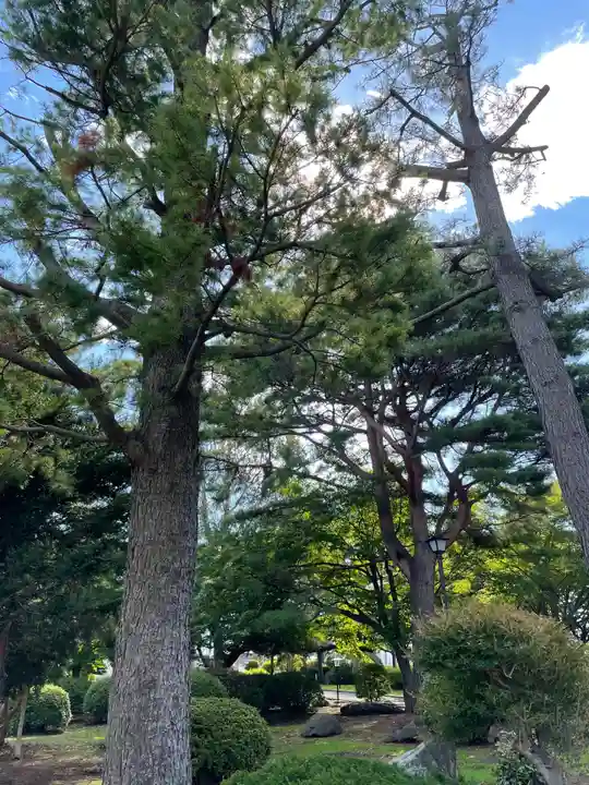 四本松神社の自然