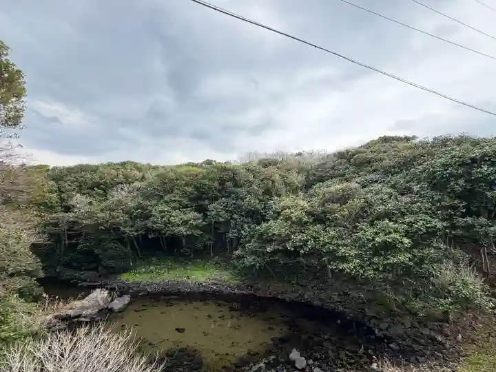 嚴島神社の{uncategorized: "未分類", other: "その他", undefined: "問題あり", building: "その他建物", grave: "お墓", sacred_gate: "鳥居", guardian: "狛犬", statue: "像", buddha: "仏像", history: "歴史", nature: "自然", garden: "庭園", animal: "動物", pagoda: "塔", temizu: "手水舎", mountain_gate: "山門・神門", sanctuary: "本殿・本堂", subordinate: "末社・摂社", art: "芸術", scenery: "景色", jizo: "地蔵", ema: "絵馬", goshuin: "御朱印", omikuji: "おみくじ", items: "授与品その他", amulet: "お守り", goshuincho: "御朱印帳", eats: "食事", festival: "お祭り", votive_dance: "神楽", shichigosan: "七五三参", wedding: "結婚式", experience: "体験その他", initially: "初詣", around: "周辺", anti_infection: "感染症対策"}