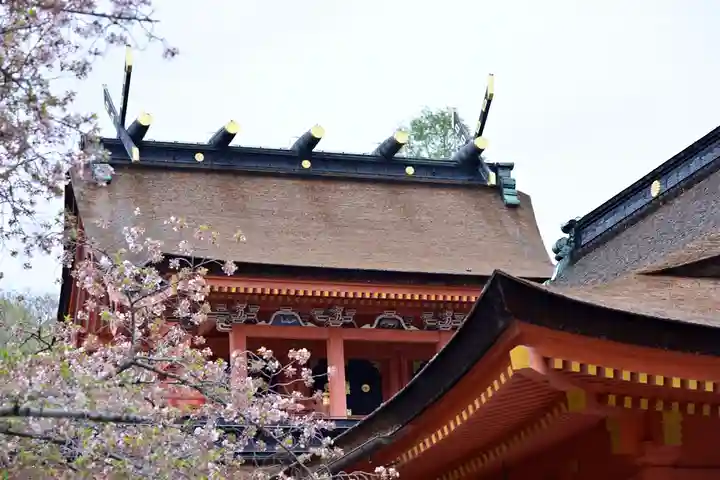 富士山本宮浅間大社の本殿・本堂