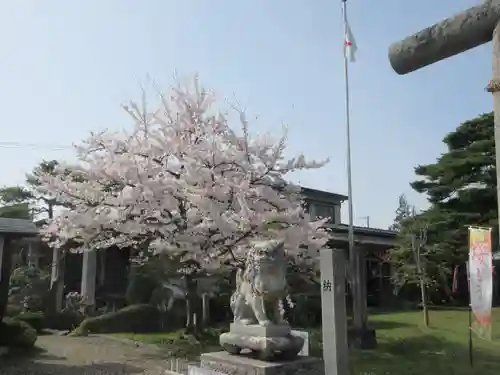 鳥谷崎神社(岩手県)