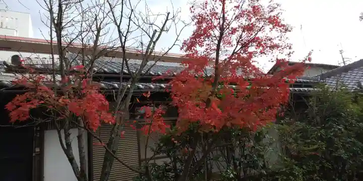 賀茂波爾神社(賀茂御祖神社境外摂社)の自然