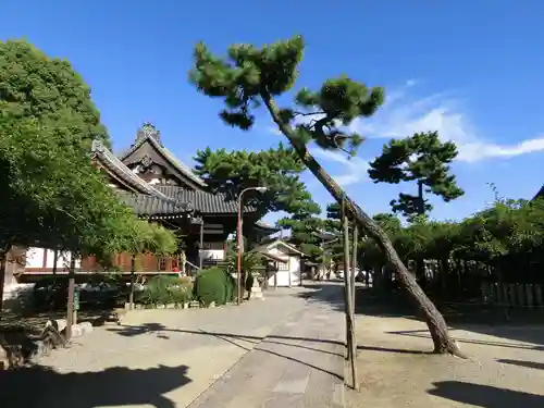 葛井寺のその他建物