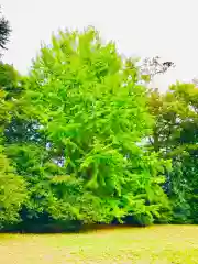 日先神社の景色