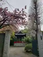 龍光寺(東京都)