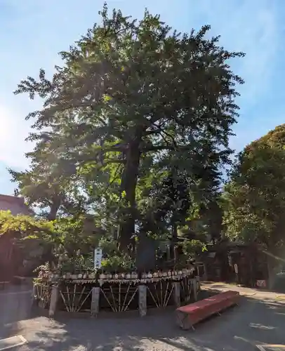 七社神社(東京都)