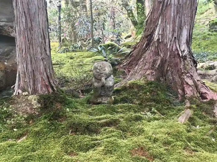 三千院門跡の自然