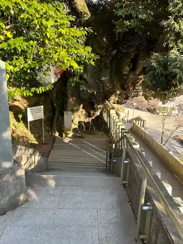 楽法寺（雨引観音）(茨城県)
