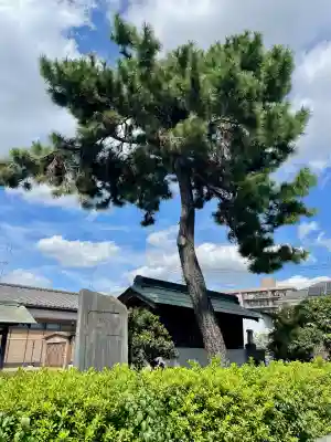 高富蕎高神社(埼玉県)