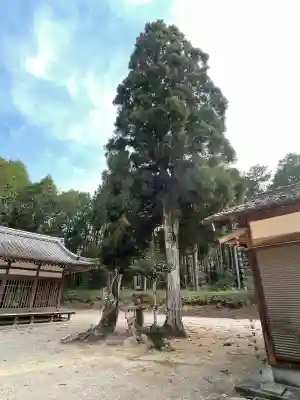 須賀神社(滋賀県)