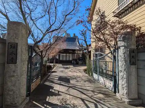 顕本寺(東京都)