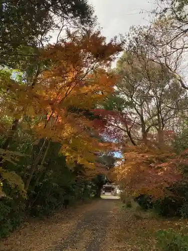 妙経寺(千葉県)