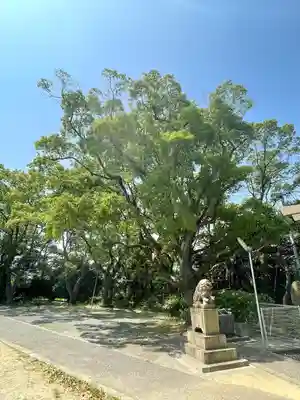 枝光八幡宮(福岡県)