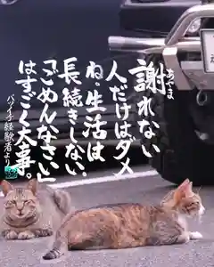 専念寺(大阪府)(2022年07月27日(水) 19時33分51秒投稿)