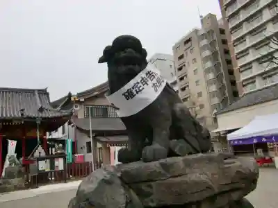 浅草神社の狛犬