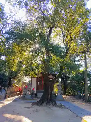 城山稲荷の自然