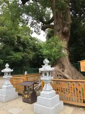 和泉國一之宮　大鳥大社のその他建物