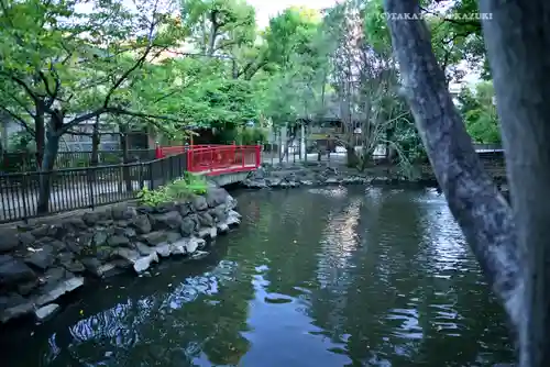 富岡八幡宮(東京都)