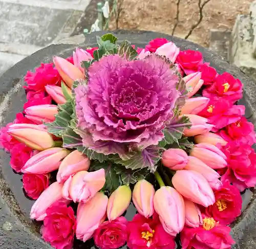 真言宗　善通寺派　薬王寺(香川県)