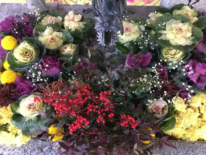 札幌諏訪神社の手水舎