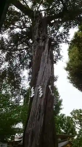 居木神社(東京都)